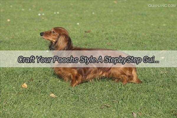 Craft Your Poochs Style A StepbyStep Guide to Knitting a Traditional Tang Suit for Dogs